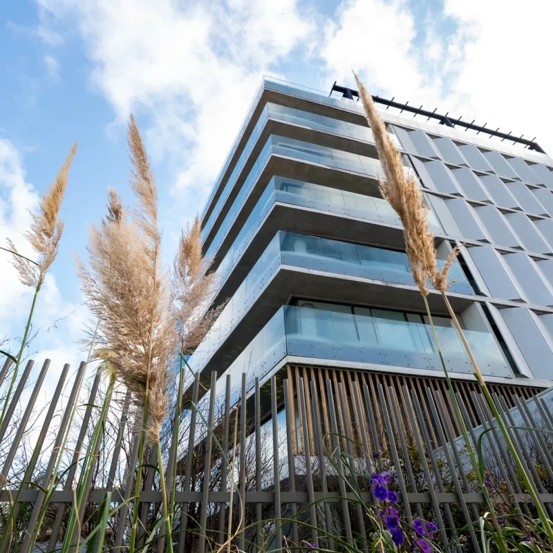 BRAVO_-005.jpg-name-e610740f353bdfa5d9a2079818dac52d249b81fcbaa5a9be9b6cdb91f192eff9-1